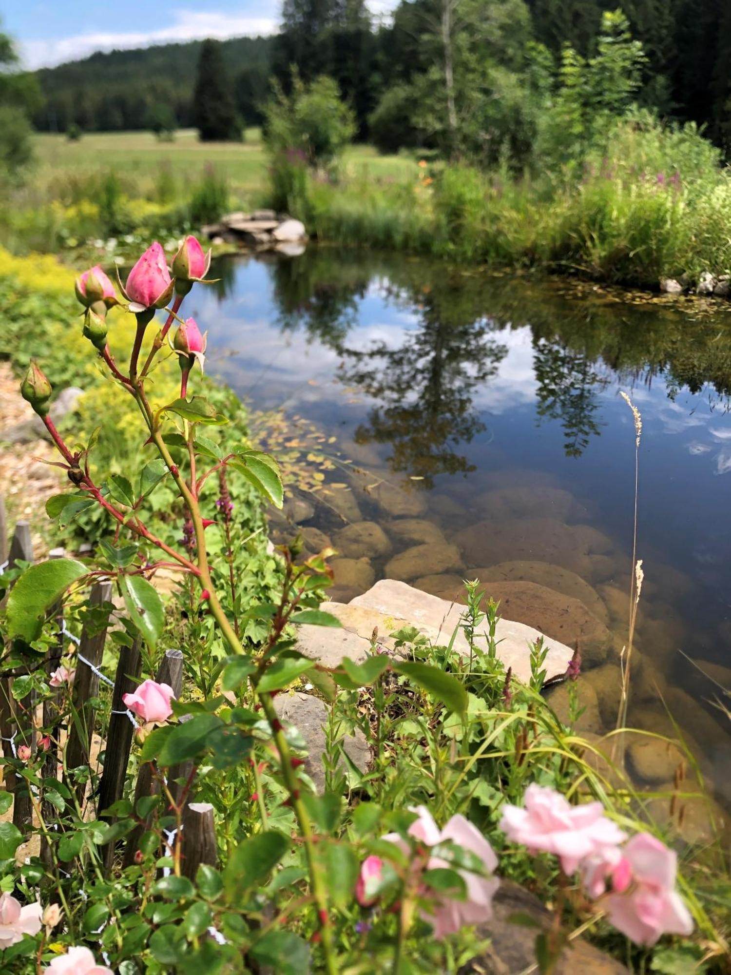 Natur- & Aktivoase Buchenberg  ภายนอก รูปภาพ